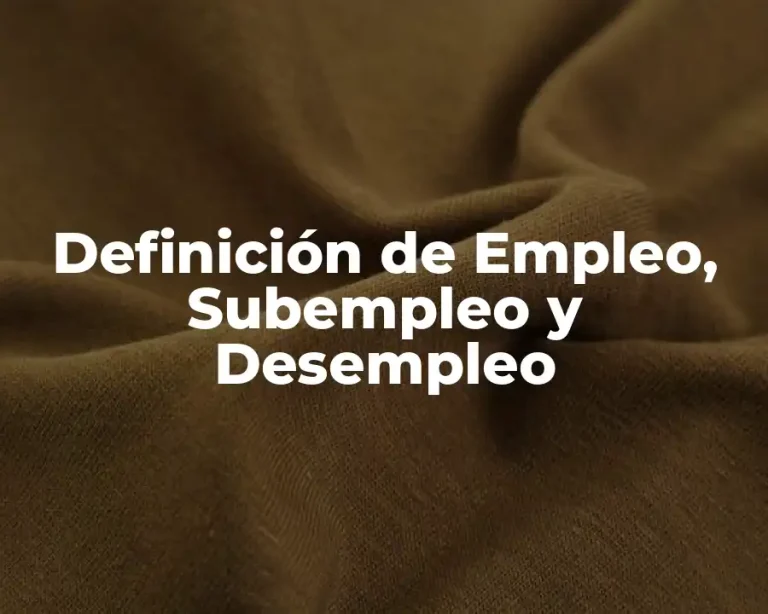 Definición de Empleo, Subempleo y Desempleo