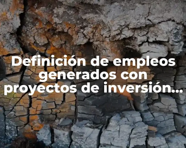 Definición de empleos generados con proyectos de inversión de microempresas