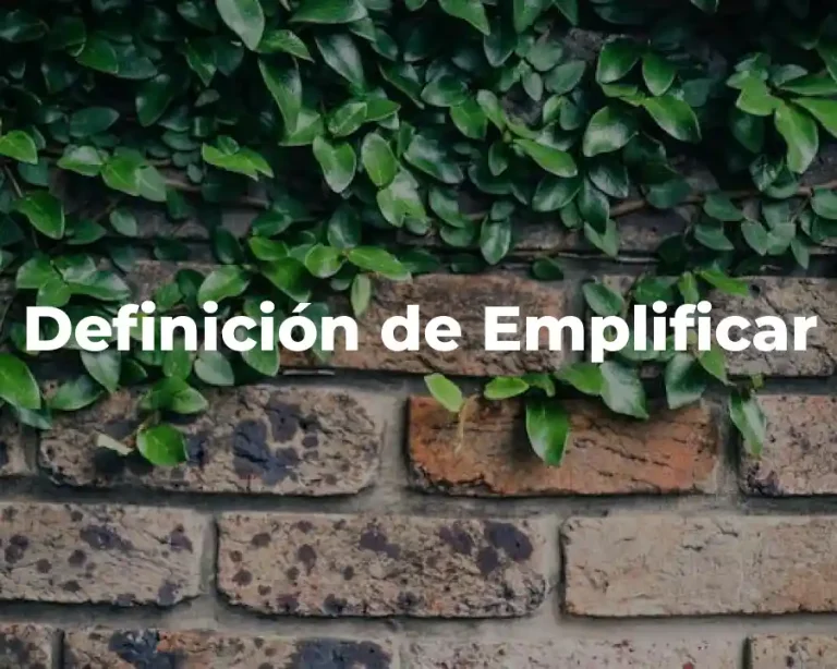 Definición de Emplificar