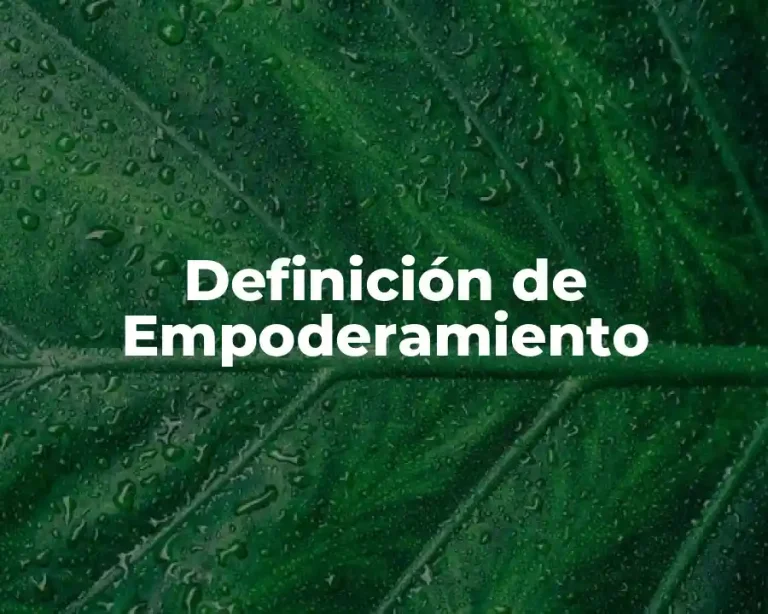 Definición de Empoderamiento