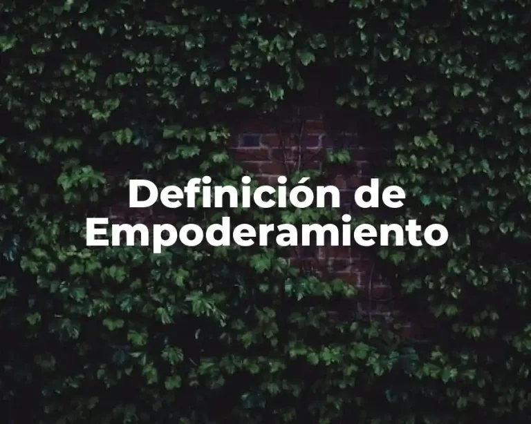 Definición de Empoderamiento