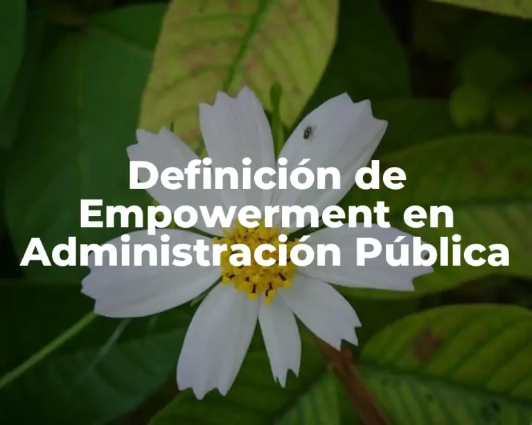 Definición de Empowerment en Administración Pública