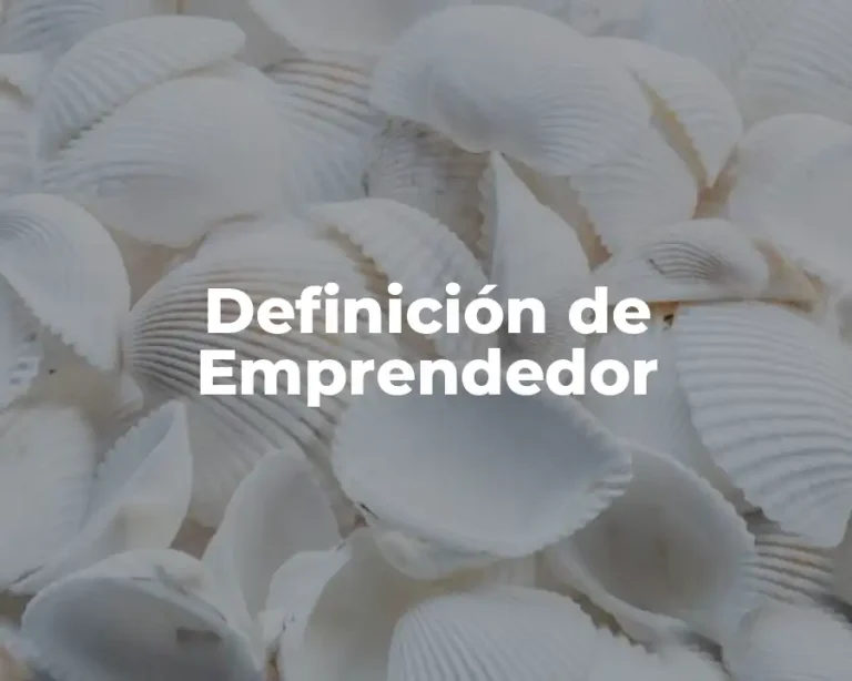 Definición de Emprendedor
