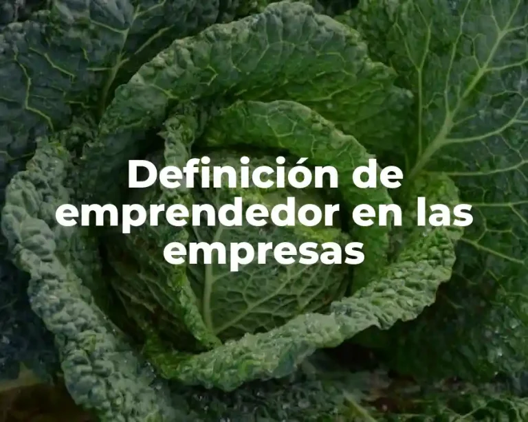 Definición de emprendedor en las empresas