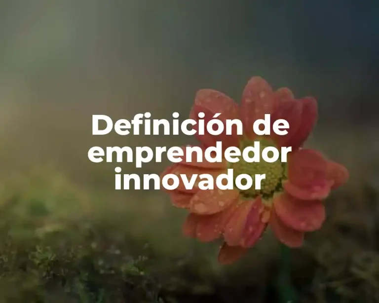 Definición de emprendedor innovador