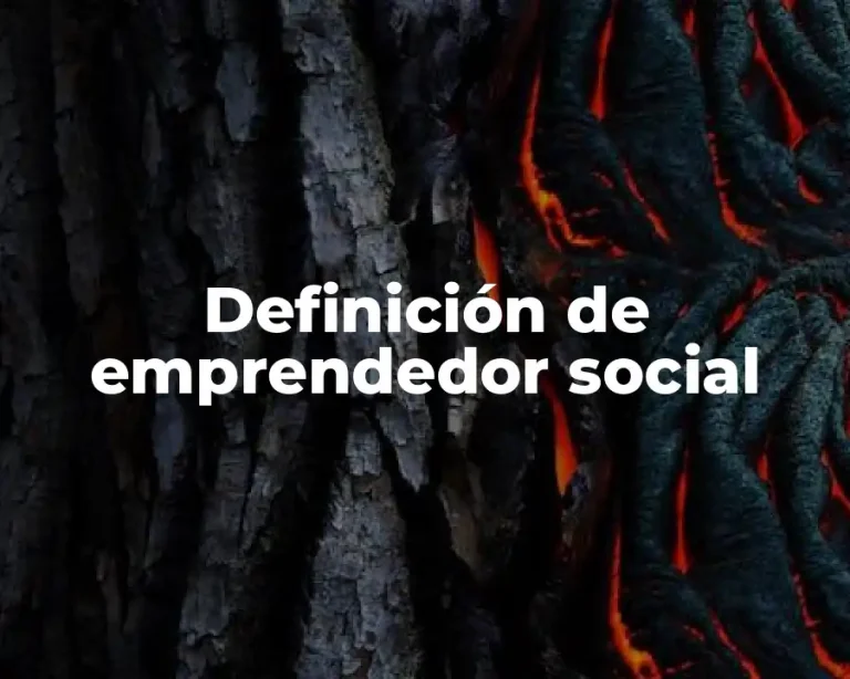 Definición de emprendedor social