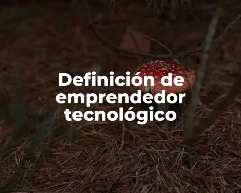 Definición de emprendedor tecnológico