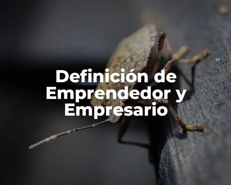 Definición de Emprendedor y Empresario