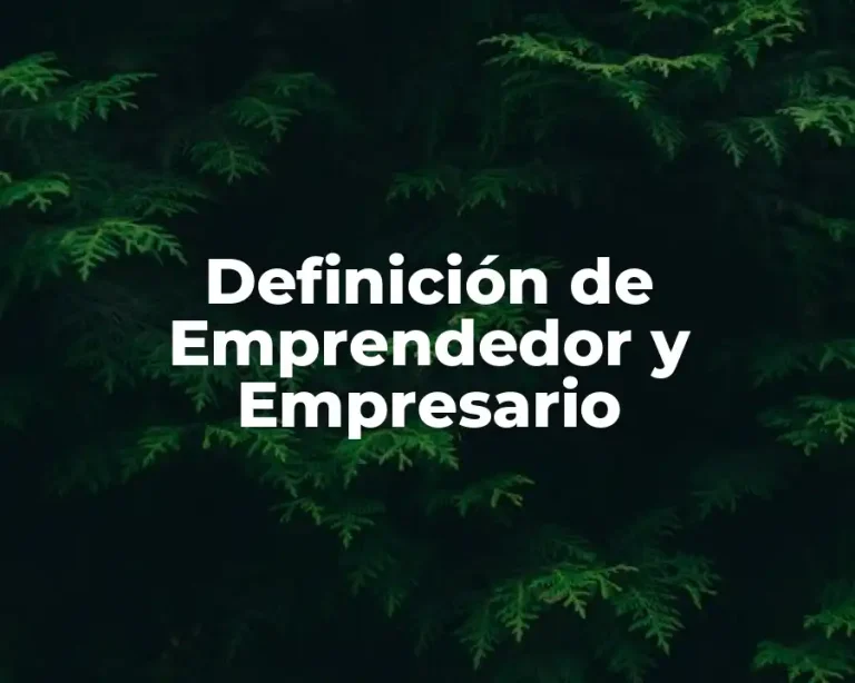 Definición de Emprendedor y Empresario