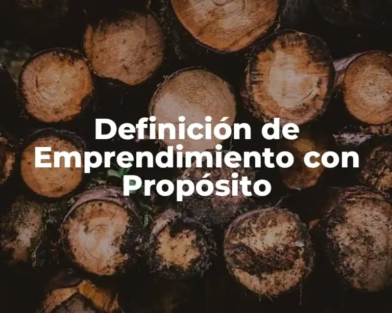 Definición de Emprendimiento con Propósito