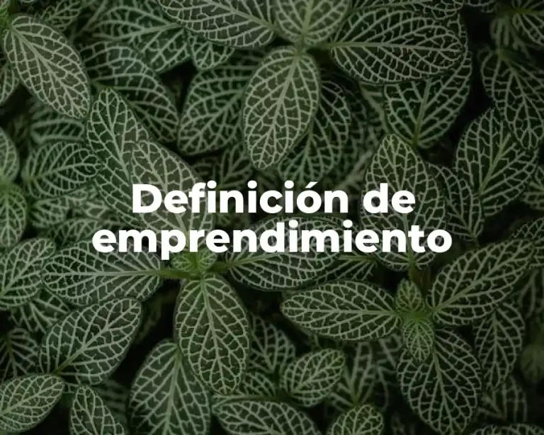 Definición de emprendimiento