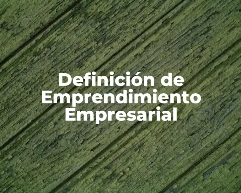 Definición de Emprendimiento Empresarial