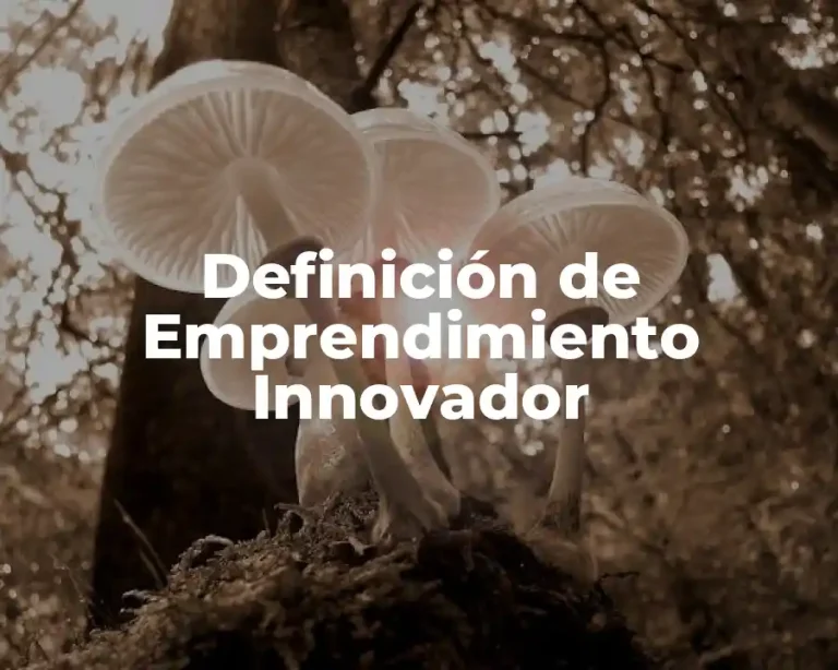 Definición de Emprendimiento Innovador