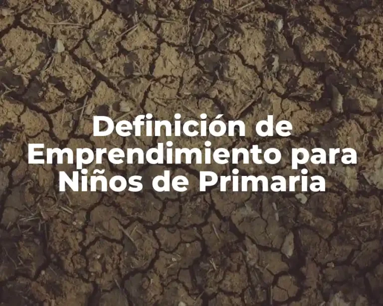 Definición de Emprendimiento para Niños de Primaria