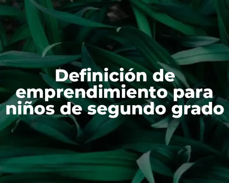 Definición de emprendimiento para niños de segundo grado