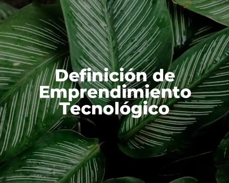 Definición de Emprendimiento Tecnológico