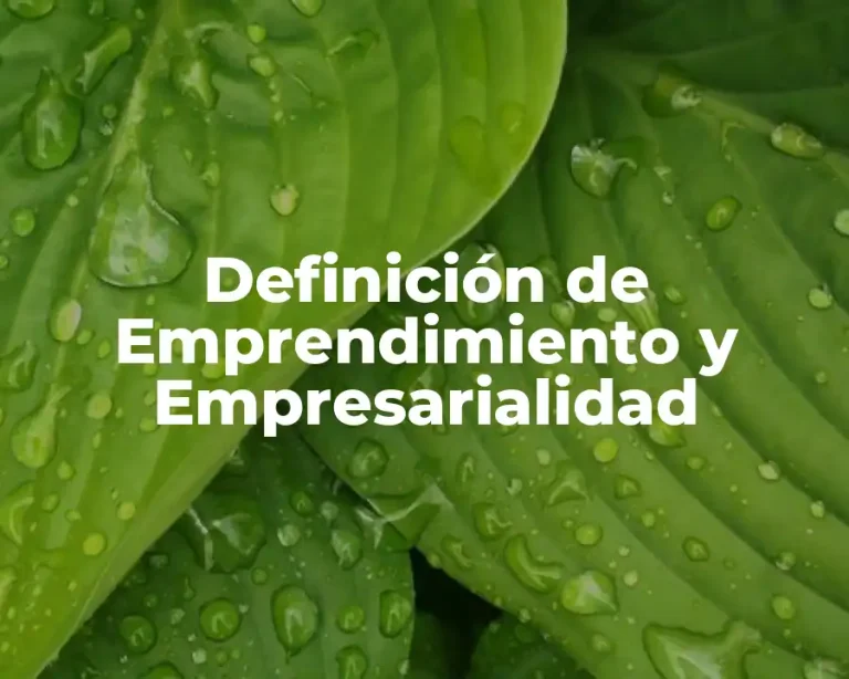 Definición de Emprendimiento y Empresarialidad