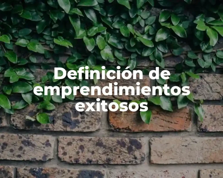 Definición de emprendimientos exitosos