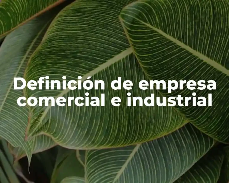 Definición de empresa comercial e industrial