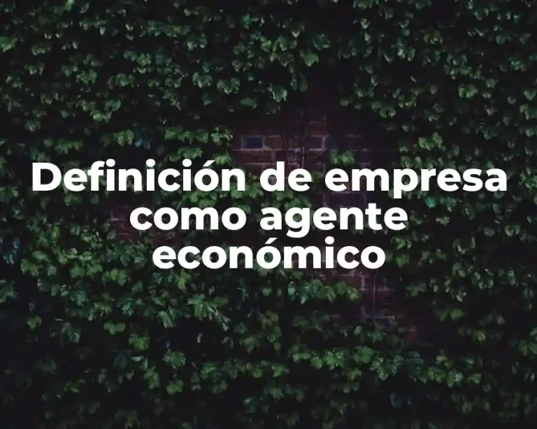 Definición de empresa como agente económico