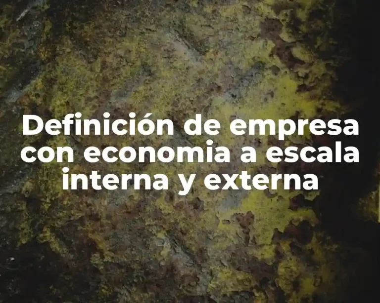 Definición de empresa con economia a escala interna y externa