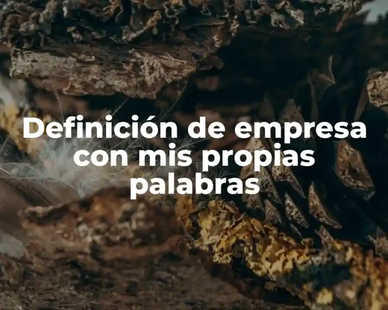 Definición de empresa con mis propias palabras