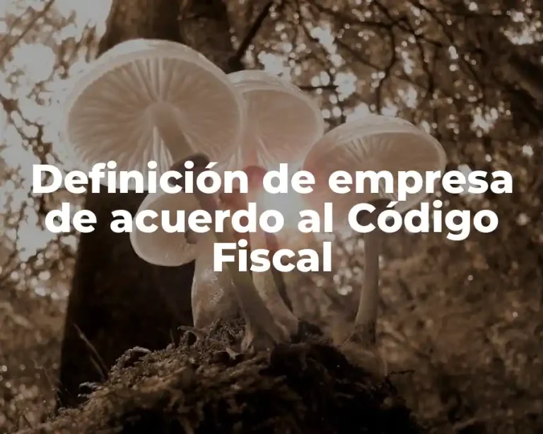 Definición de empresa de acuerdo al Código Fiscal
