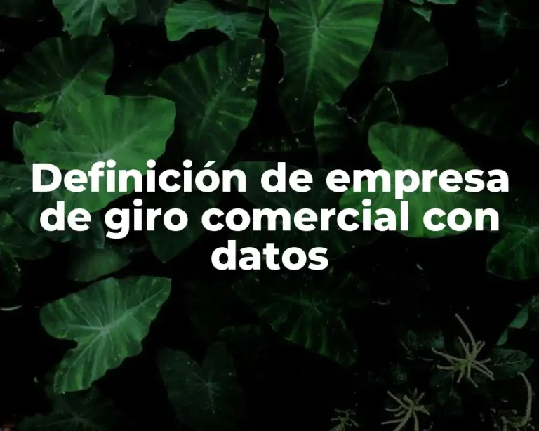 Definición de empresa de giro comercial con datos
