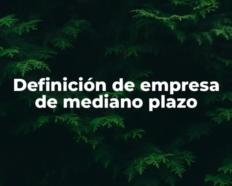 Definición de empresa de mediano plazo