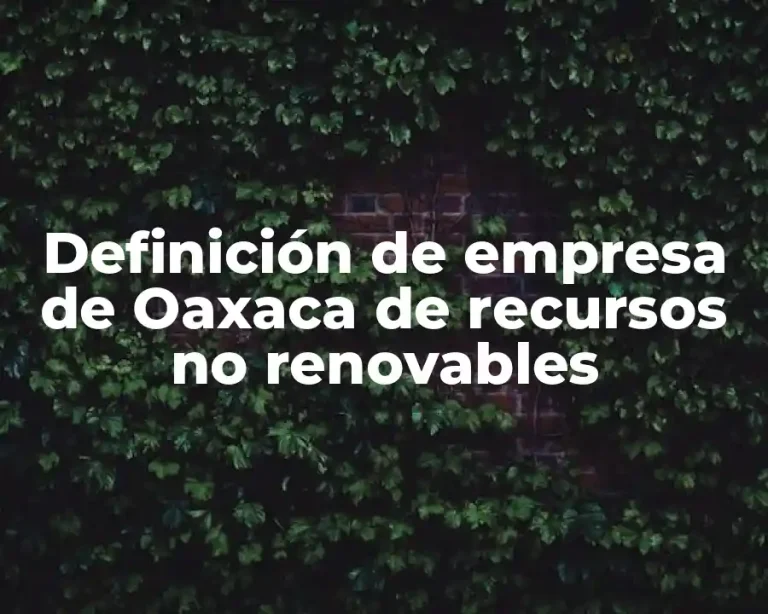 Definición de empresa de Oaxaca de recursos no renovables