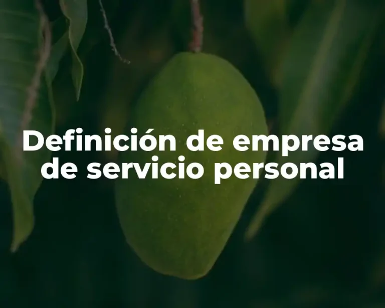 Definición de empresa de servicio personal