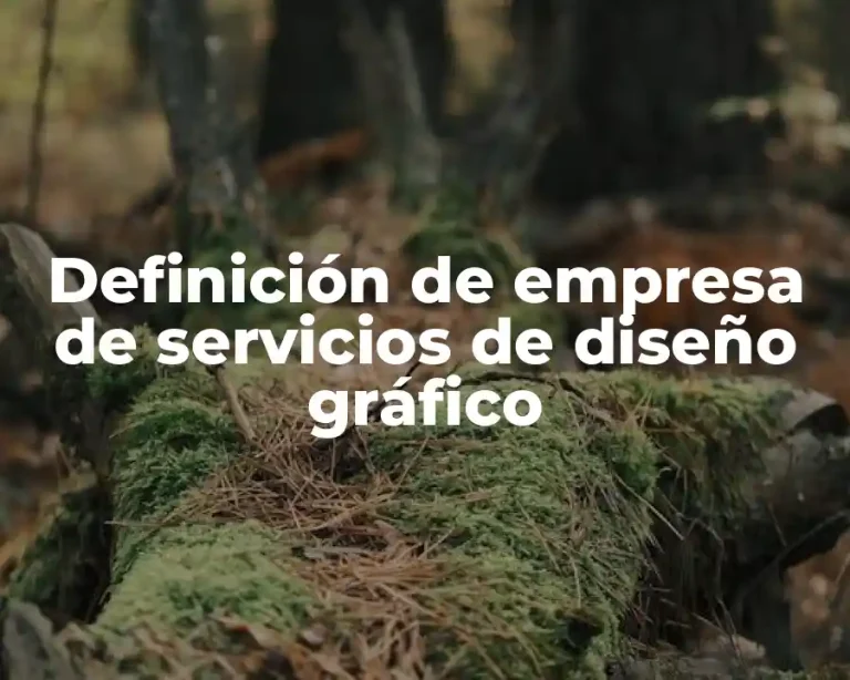 Definición de empresa de servicios de diseño gráfico