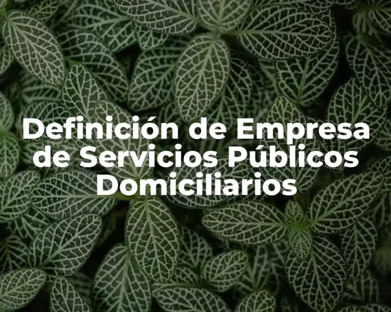 Definición de Empresa de Servicios Públicos Domiciliarios