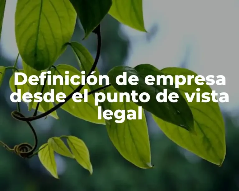 Definición de empresa desde el punto de vista legal