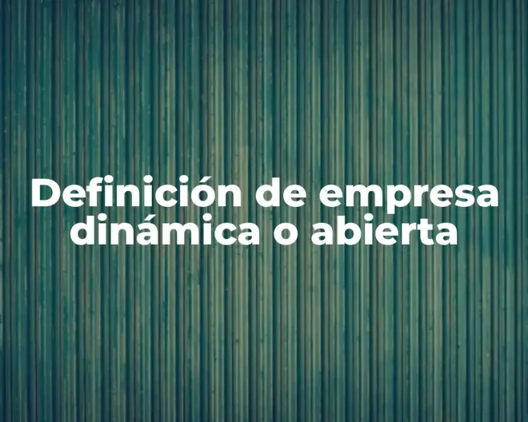 Definición de empresa dinámica o abierta