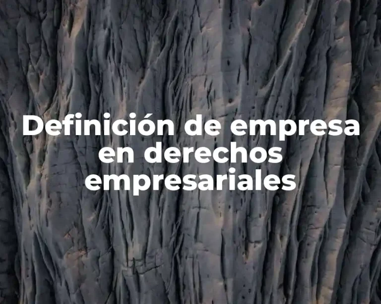 Definición de empresa en derechos empresariales
