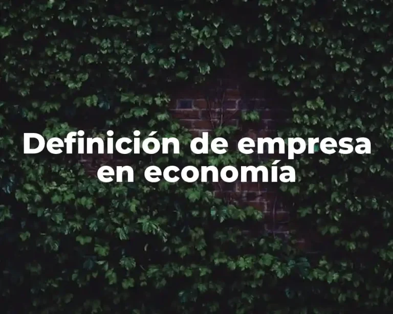 Definición de empresa en economía