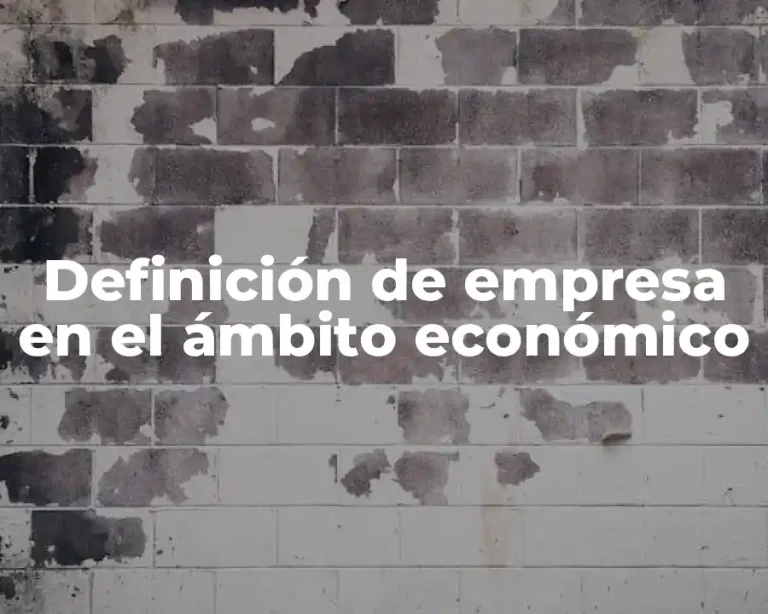 Definición de empresa en el ámbito económico