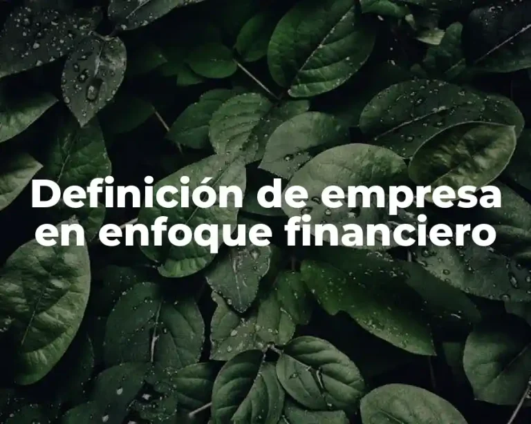 Definición de empresa en enfoque financiero