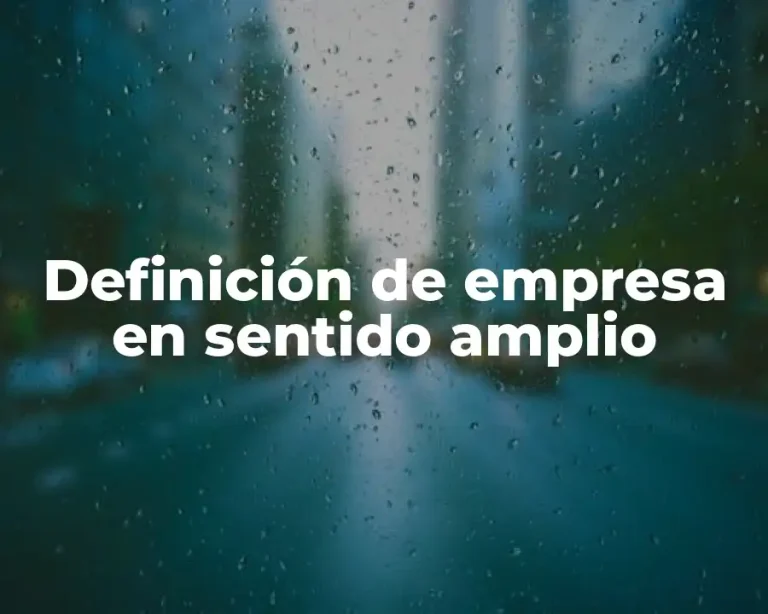Definición de empresa en sentido amplio