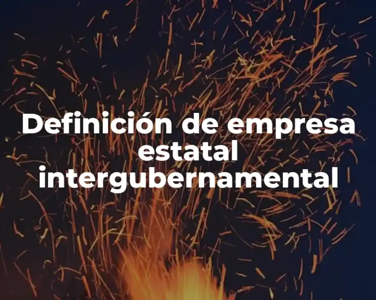 Definición de empresa estatal intergubernamental