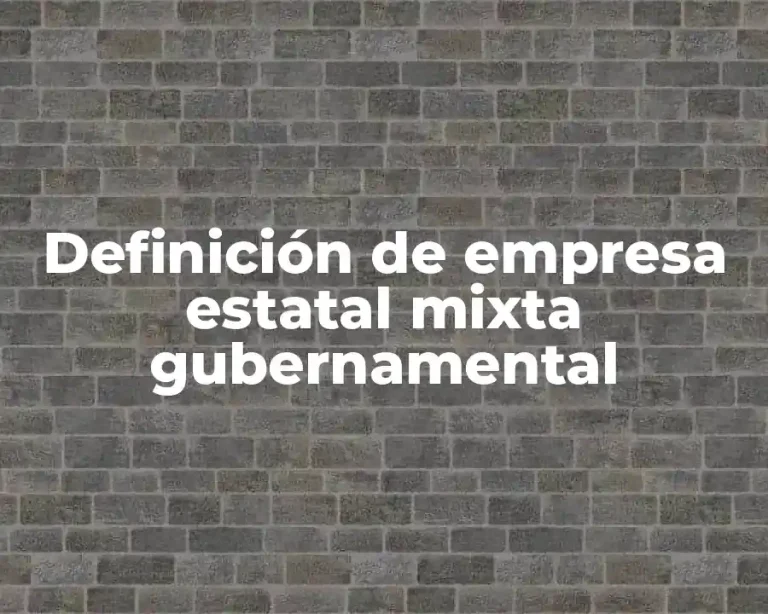 Definición de empresa estatal mixta gubernamental