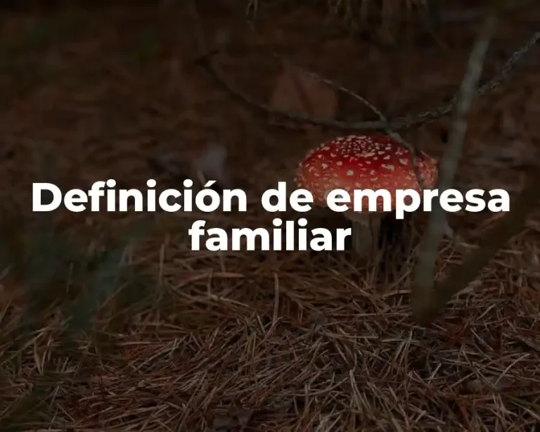 Definición de empresa familiar