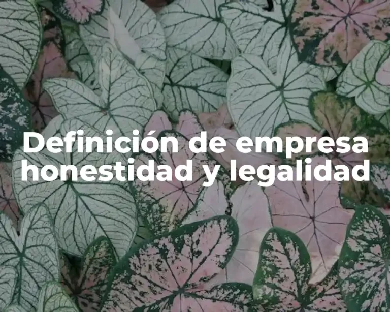 Definición de empresa honestidad y legalidad
