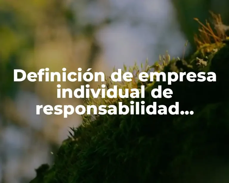 Definición de empresa individual de responsabilidad limitada