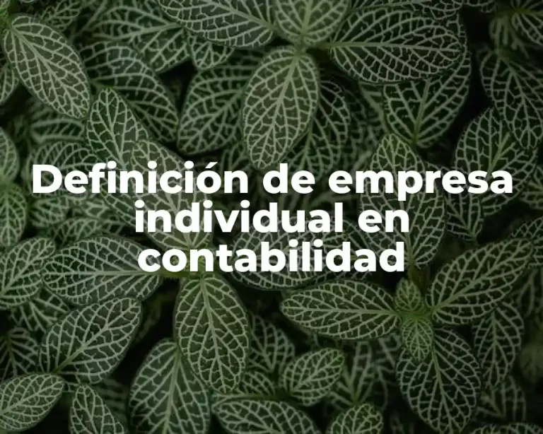 Definición de empresa individual en contabilidad