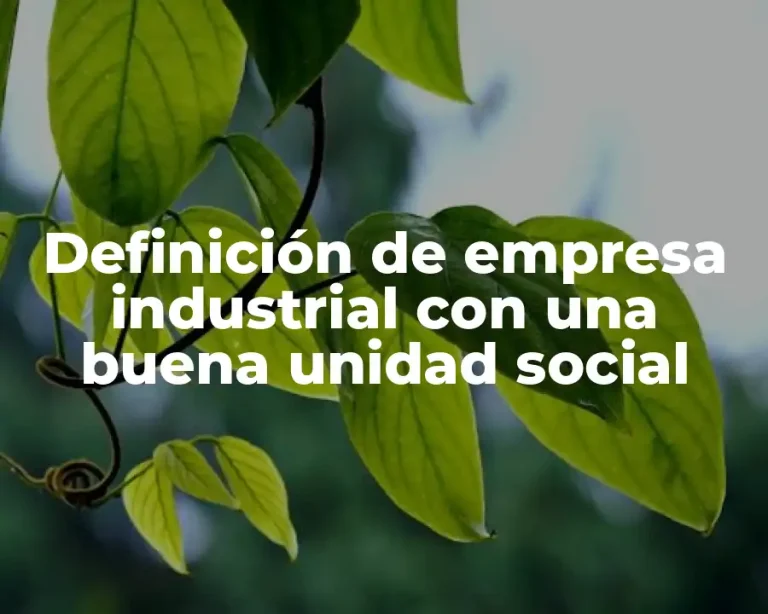 Definición de empresa industrial con una buena unidad social