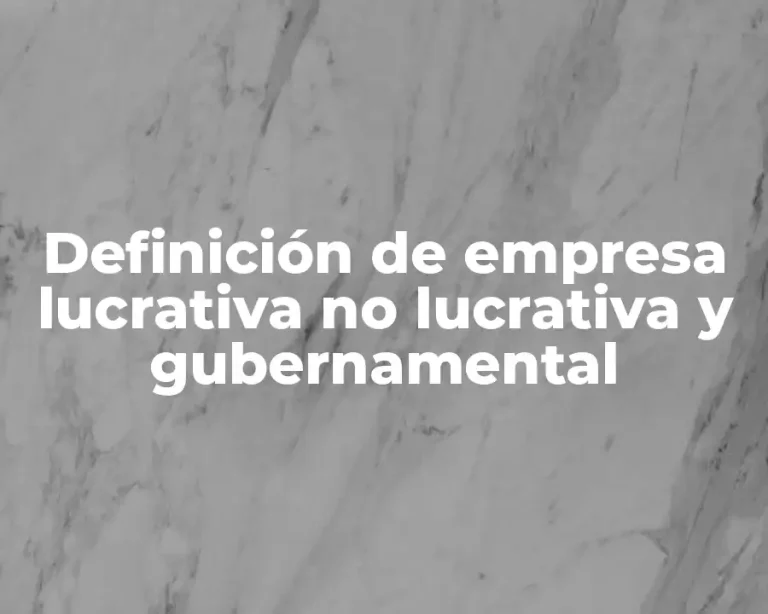 Definición de empresa lucrativa no lucrativa y gubernamental