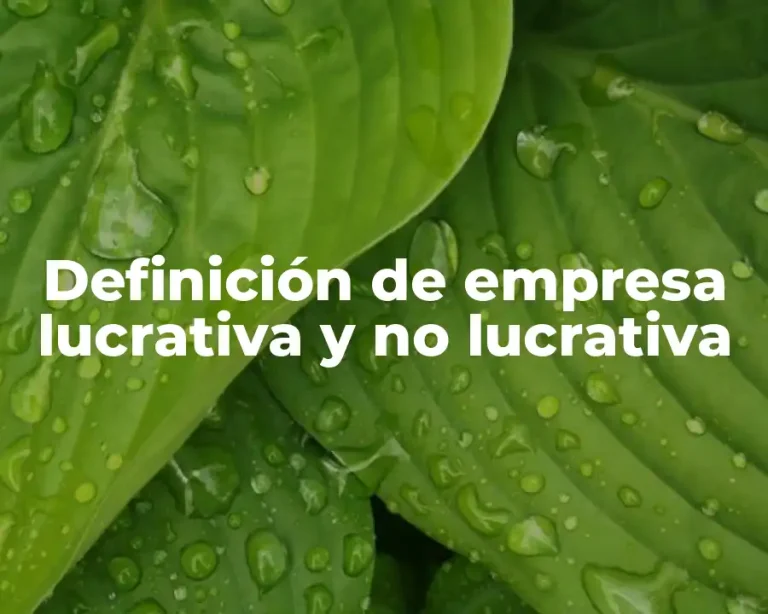 Definición de empresa lucrativa y no lucrativa