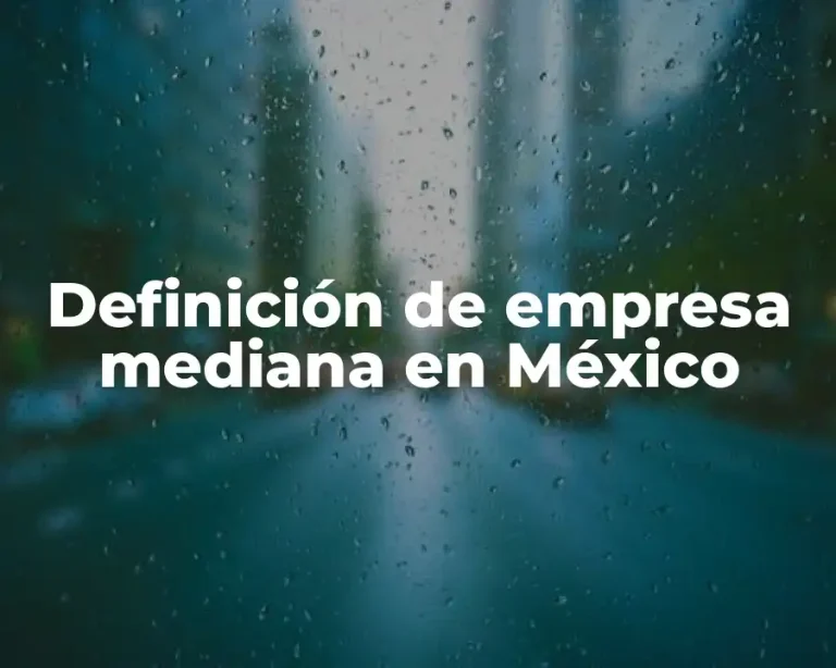 Definición de empresa mediana en México